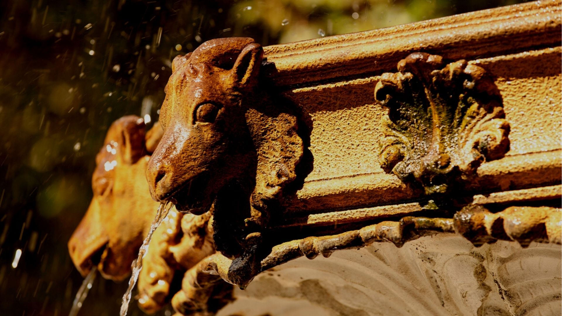 advisory-board-background.jpg