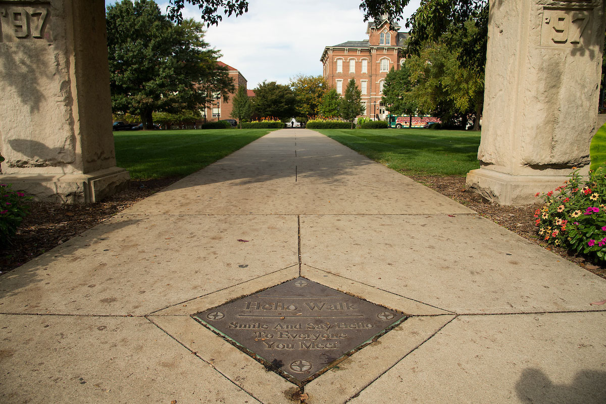 hello-walk-2556.jpg
