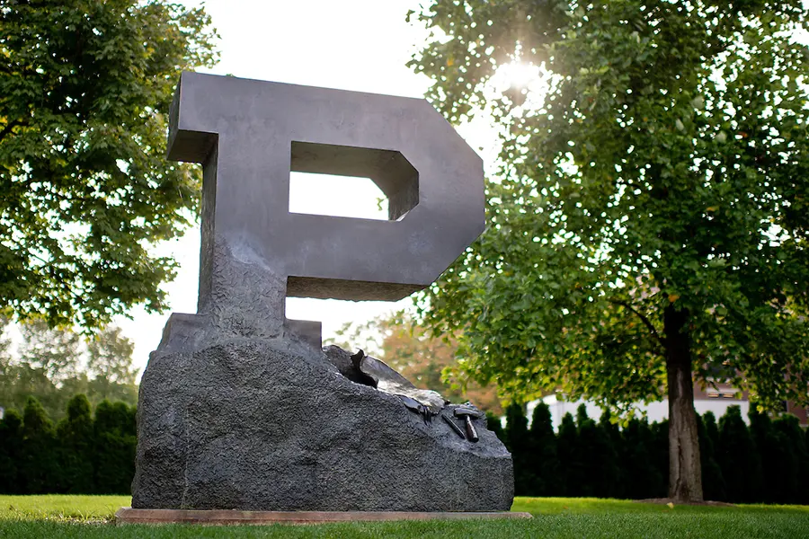 Unfinished P Sculpture