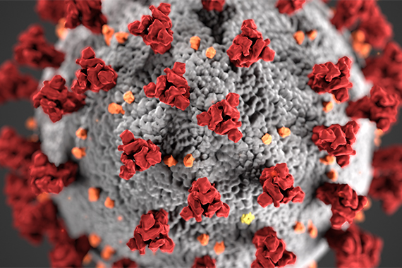 Corona virus